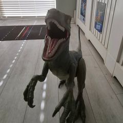 20 inch dinosaur jurassic world raptor (blue)