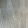 Cream Luxurious Rug Image 3