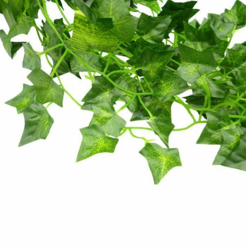 ivy garlands