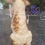 ceramic pottery dog Image 3