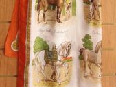 Equine Pony Equestrian Horse Orange with print Large Scarf