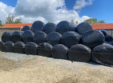 Organic Silage Bales