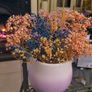 Pottery Flower Pot - Dried Flowers included. Image 3