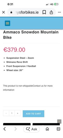 Mountain bike
