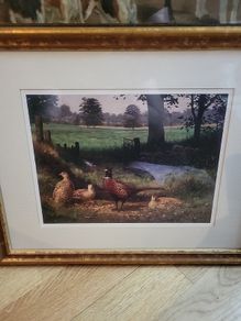 Pheasant Framed Print Julian Friers