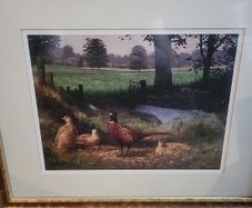 Pheasant Framed Print Julian Friers