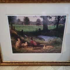 Pheasant Framed Print Julian Friers