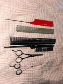 professional cutting scissors and combs