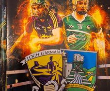 Gaa Programmes All Ireland U21 Hurling Final 2015 Wexford V Limerick