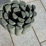 Garden lawn edging, 4 rolls, 30 eur each Image 2