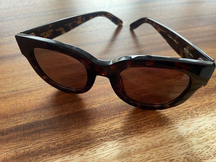sunglasses ace & tate women's ladies brand new