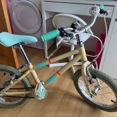 Raleigh Pop 16 kids bike