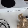 Xbox Series S Image 4