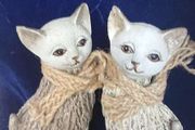 Cats