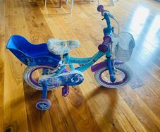 12 Inch Frozen Bike with Doll Carrier Blue