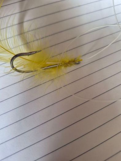 Fish Hook
