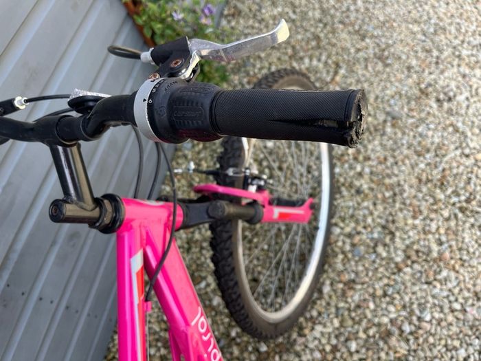 ladies bike