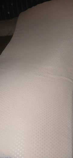 Free Single mattress topper