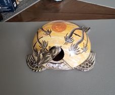 Tortoise bobbing head