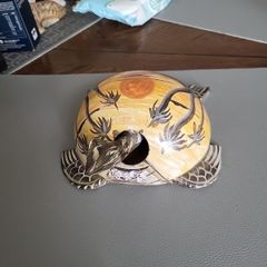 Tortoise bobbing head