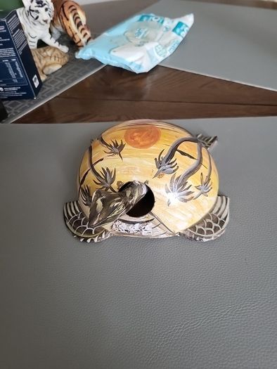 Tortoise bobbing head