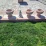 garden Image 2