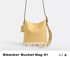 coach bag