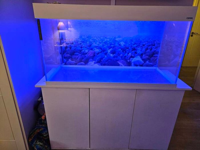 aquarium