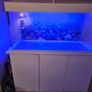 aquarium Image 2