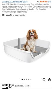 dog toilet training