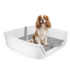 dog toilet training