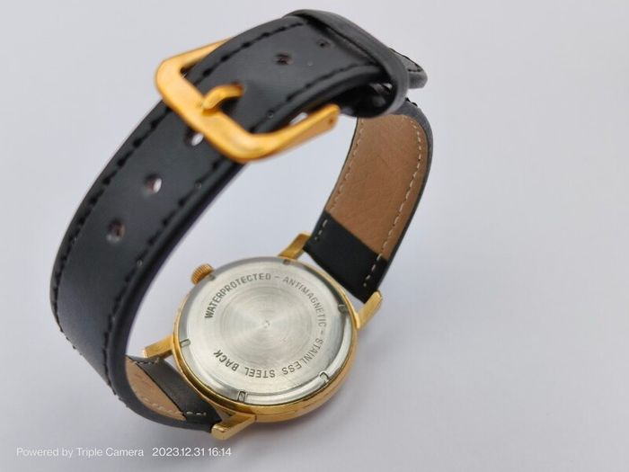 Pallas Eppo swiss men's watch