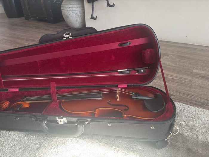 Violin