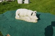 Hog Sleeping-GL-SA026