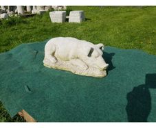Hog Sleeping-GL-SA026
