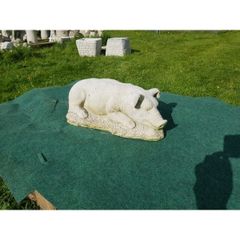 Hog Sleeping-GL-SA026
