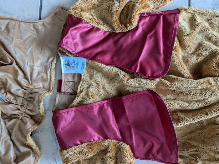 Luxurious costume Abu from Aladdin (18-24) Disney store
