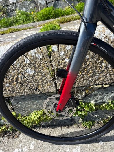 54cm Trek Domane AL 5 Gen 3 Disc