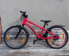 Trek Wahoo 20 red Childrens Bike