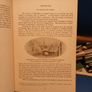 Cooke and Scanlon's Guide to Cork Image 9