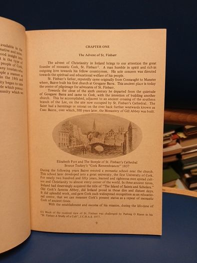 Cooke and Scanlon's Guide to Cork