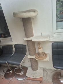 cat tower