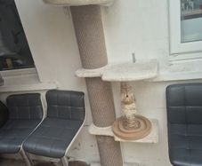cat tower