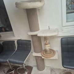 cat tower