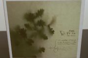 The Frames The Cost CD Album