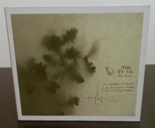 The Frames The Cost CD Album