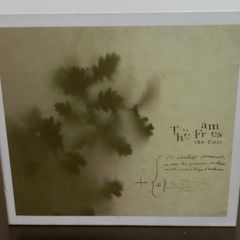 The Frames The Cost CD Album