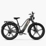 FIIDO TITAN CARGO Fat Tire Touring Electric Bike Image 2