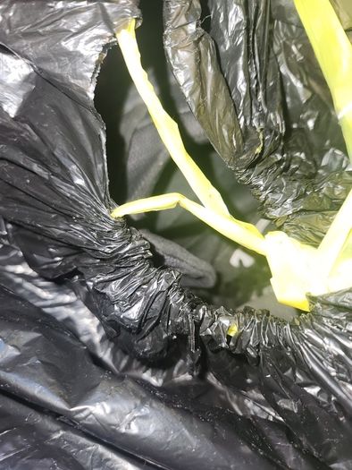 10kg bag of shoes