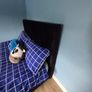 black velvet double bed Image 4